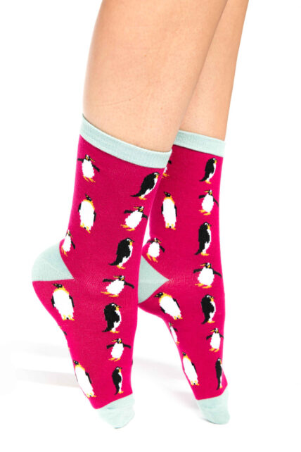 Penguins Socks Red-591