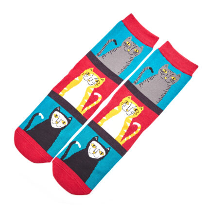 Cats & Stripes Socks Teal-0