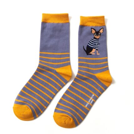 Chihuahua Stripes Socks Blue-0