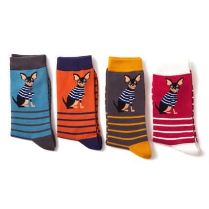 Mr Heron Chihuahua Stripes Socks Orange-2969