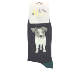 Mr Heron Jack Russell Pup Socks Grey-0