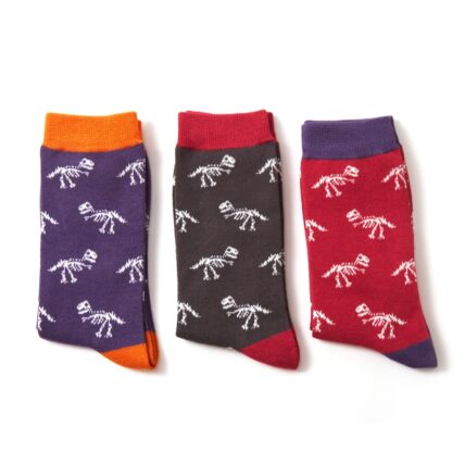 Mr Heron Dino Bones Socks Red-3144