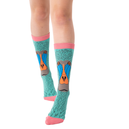 Baboon Socks Turquoise-0