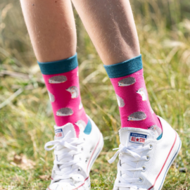 Cute Hedgehogs Socks Hot Pink-0