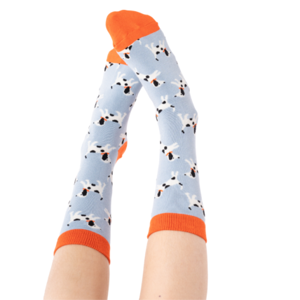 Little Dalmatians Socks Powder Blue-0