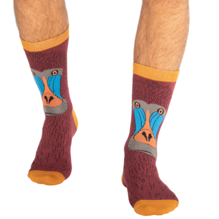 Mr Heron Baboon Socks Oxblood-0