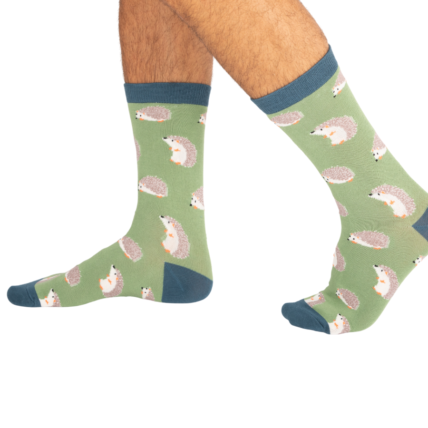Mr Heron Cute Hedgehogs Socks Green-0