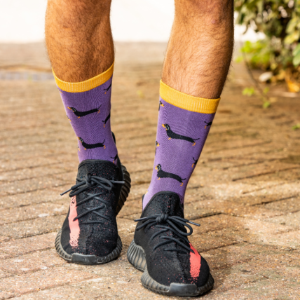 Mr Heron Little Sausage Dogs Socks Purple-0