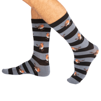 Mr Heron Robins & Stripes Socks Blue-0