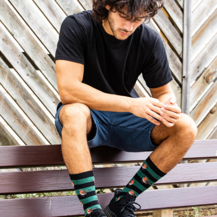 Mr Heron Robins & Stripes Socks Green-0