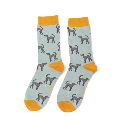 Greyhounds Socks Duck Egg-4151