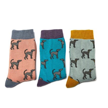 Greyhounds Socks Turquoise-3980