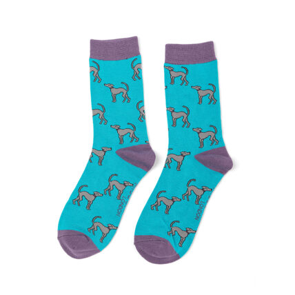 Greyhounds Socks Turquoise-0