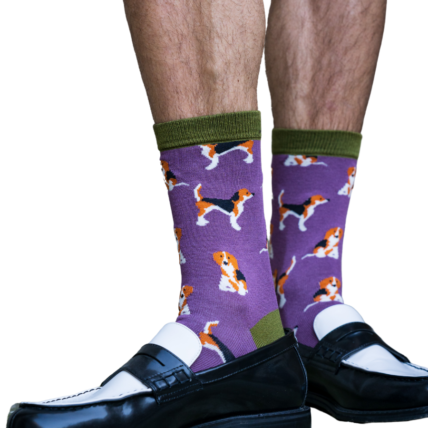 Mr Heron Beagle Pups Socks Purple-0