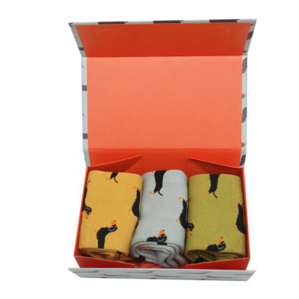 Little Sausage Dogs Socks Box-4853