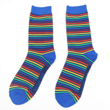 Mr Heron Vibrant Stripes Socks Navy-4755