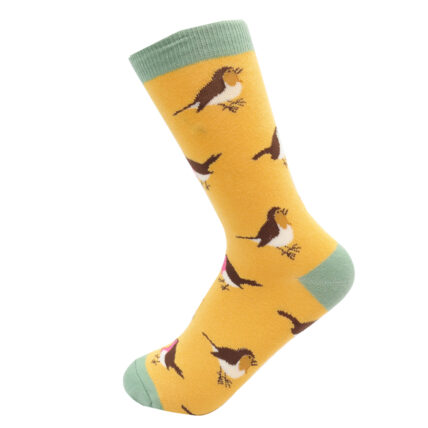 Multicolour Robins Socks Yellow-0