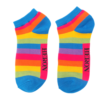 Mr Heron Thick Stripes Trainer Socks Rainbow-0