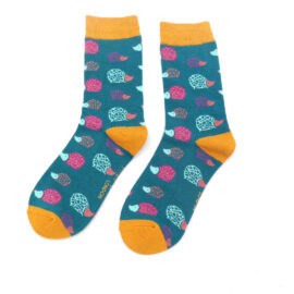 Hedgehogs Socks Teal-0