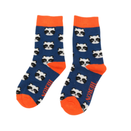 Boys Pandas Socks Navy-0