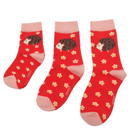 Girls Hedgehogs & Daisies Socks Red-0