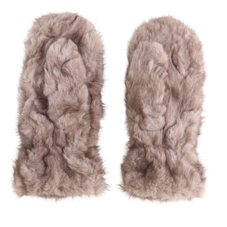 GL37 Mushroom (2) (1)